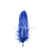 PLUME DE CANARD 15 CMS.