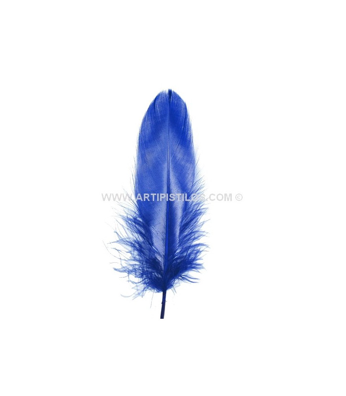 PLUME DE CANARD 15 CMS.