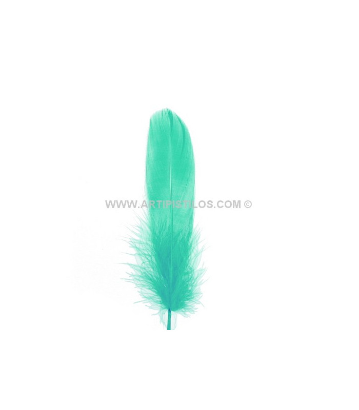 PLUME DE CANARD 15 CMS.