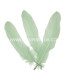 PLUME DE CANARD 15 CMS.