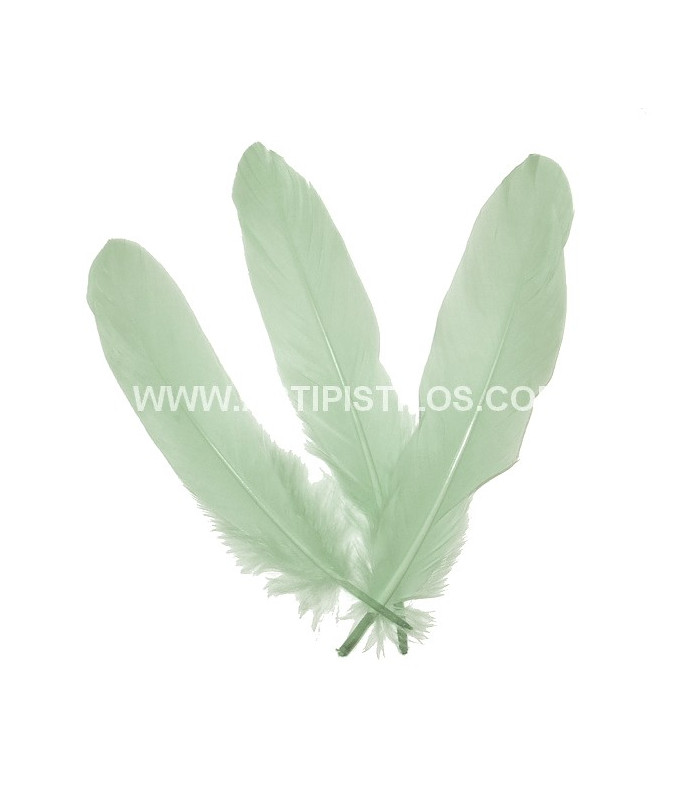 PLUME DE CANARD 15 CMS.