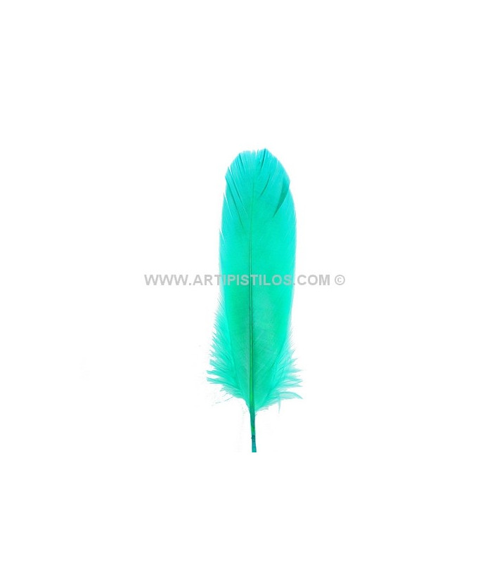 PLUME DE CANARD 15 CMS.