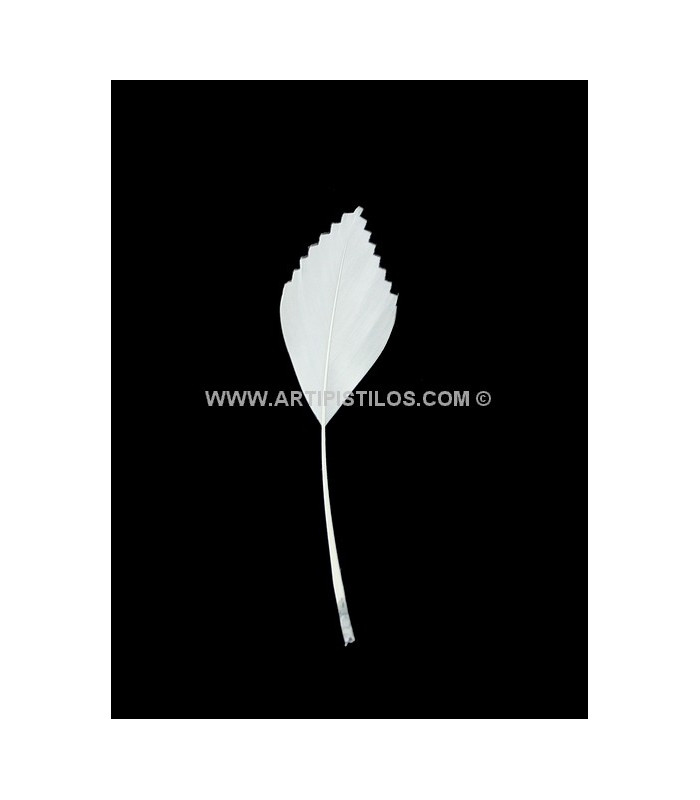 PLUME DE CANARD DECOUPÉE 15 CMS.