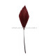 PLUME DE CANARD DECOUPÉE 15 CMS.