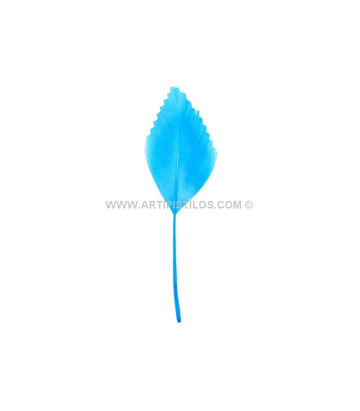 PLUME DE CANARD DECOUPÉE 15 CMS.