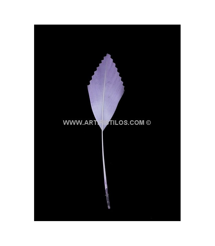 PLUME DE CANARD DECOUPÉE 15 CMS.