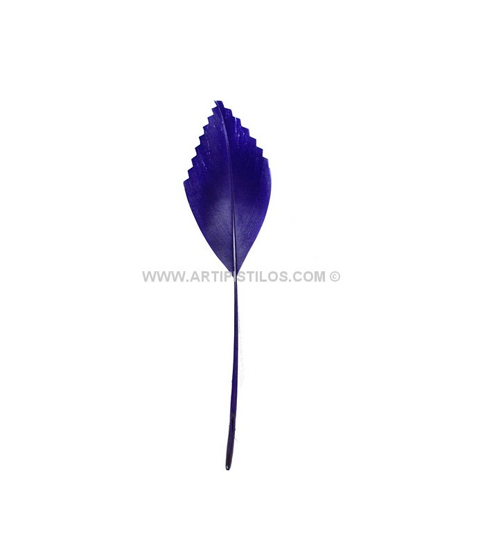 PLUME DE CANARD DECOUPÉE 15 CMS.