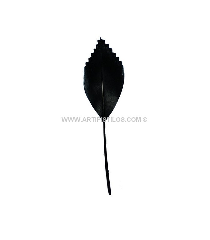 PLUME DE CANARD DECOUPÉE 15 CMS.
