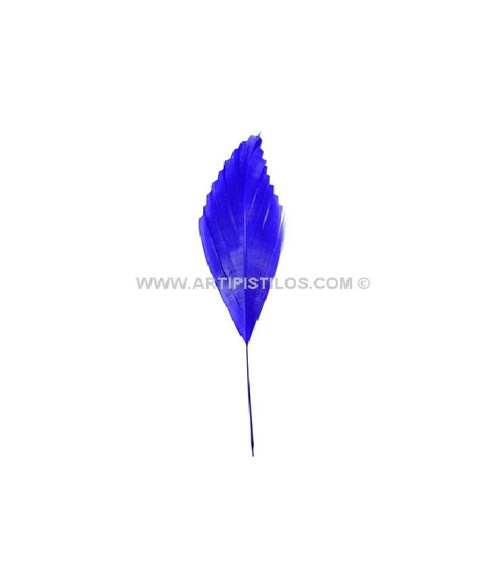 PLUME DE CANARD DECOUPÉE 15 CMS.