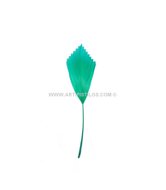 PLUME DE CANARD DECOUPÉE 15 CMS.