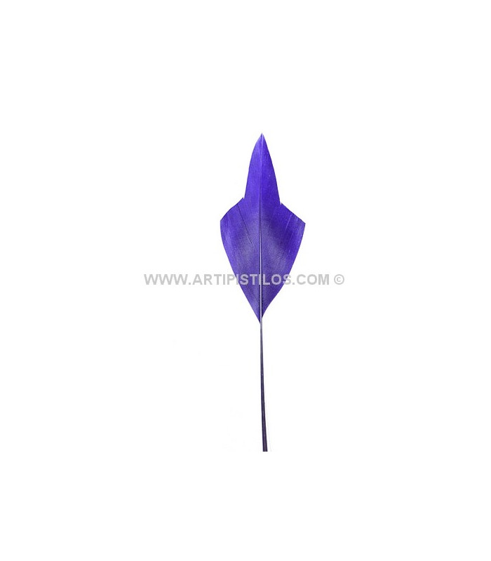 PLUME POINTE DE FLÈCHE 15 CMS.