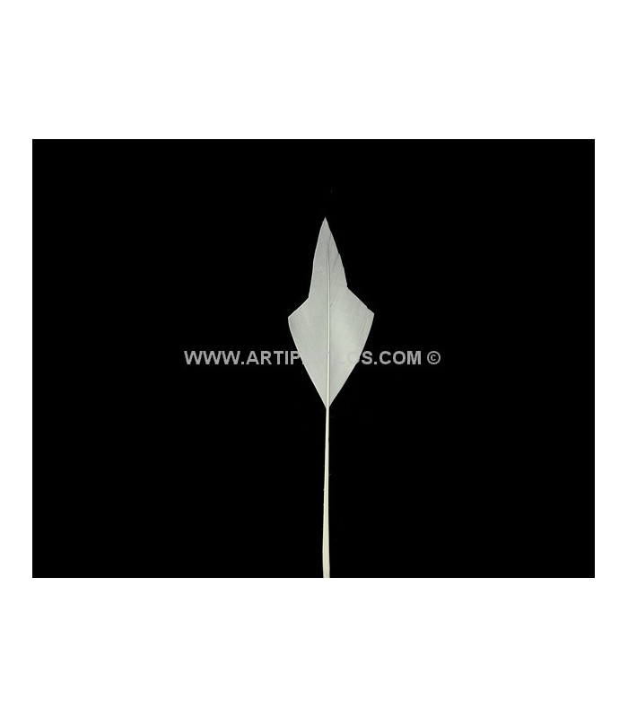 PLUME POINTE DE FLÈCHE 15 CMS.