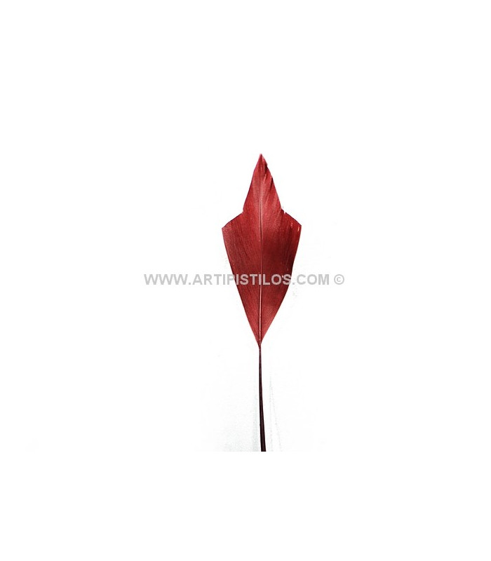 PLUME POINTE DE FLÈCHE 15 CMS.