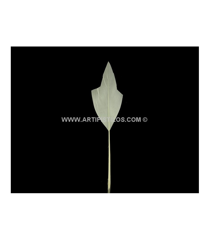 PLUME POINTE DE FLÈCHE 15 CMS.