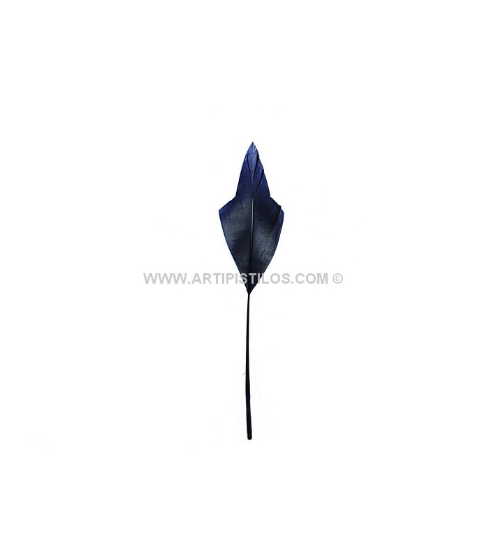 PLUME POINTE DE FLÈCHE 15 CMS.