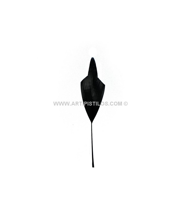 PLUME POINTE DE FLÈCHE 15 CMS.
