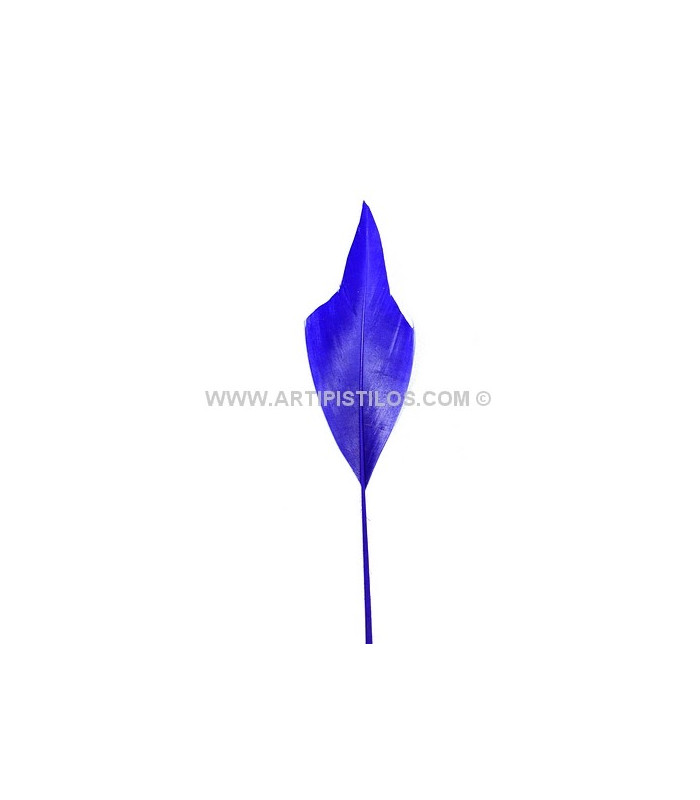 PLUME POINTE DE FLÈCHE 15 CMS.
