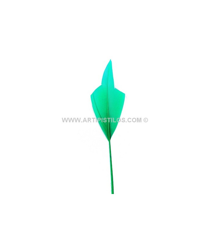 PLUME POINTE DE FLÈCHE 15 CMS.