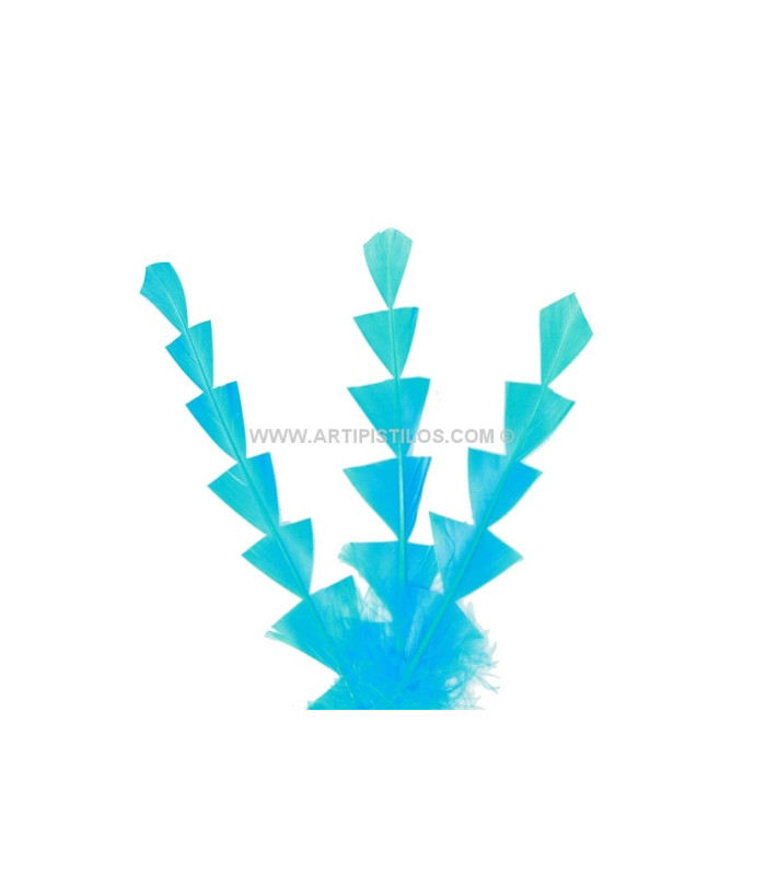 PLUME DE CANARD DIAMANT 15 CMS.