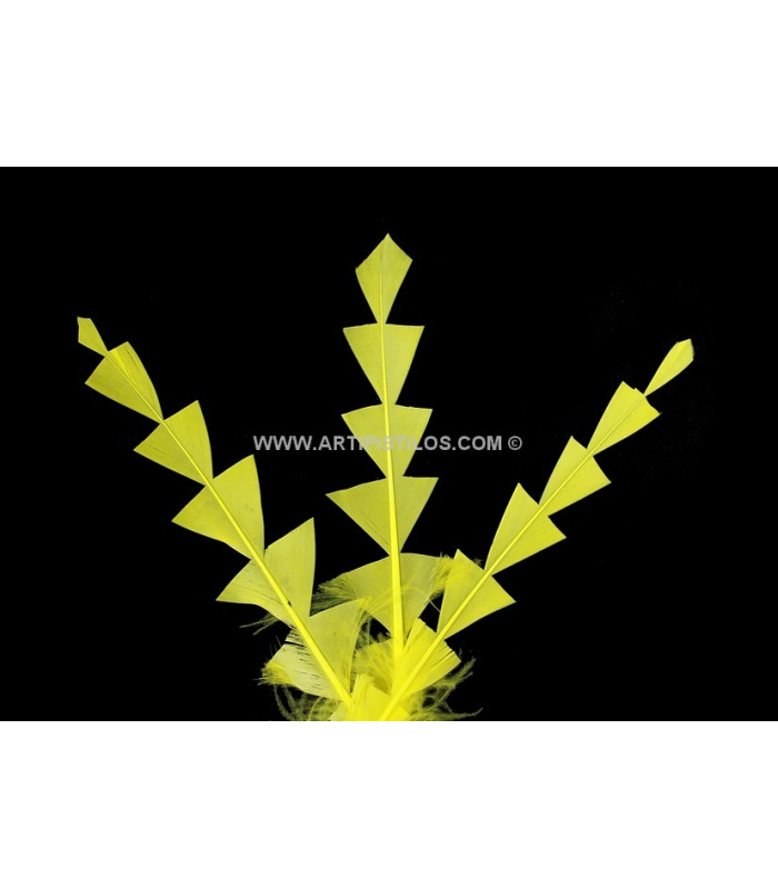 PLUME DE CANARD DIAMANT 15 CMS.