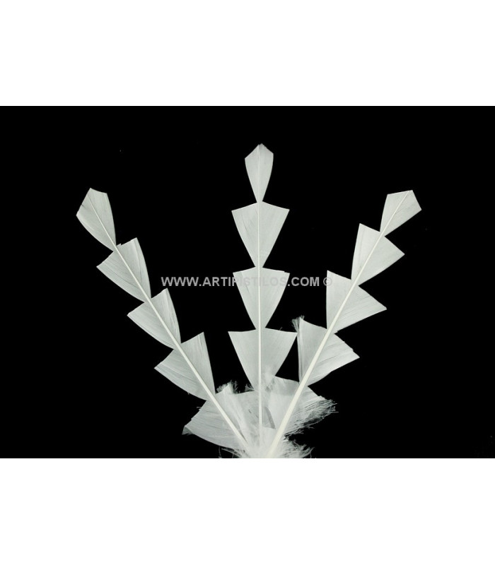 PLUME DE CANARD DIAMANT 15 CMS.
