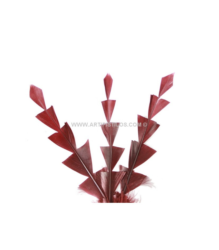 PLUME DE CANARD DIAMANT 15 CMS.