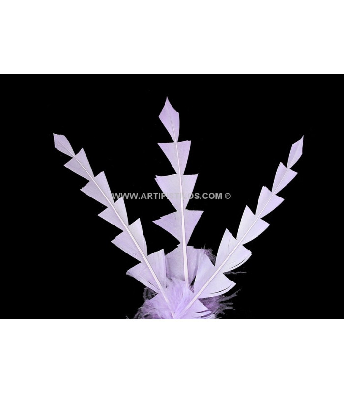 PLUME DE CANARD DIAMANT 15 CMS.
