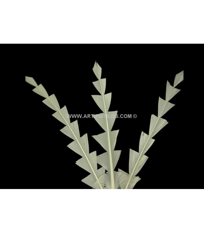 PLUME DE CANARD DIAMANT 15 CMS.