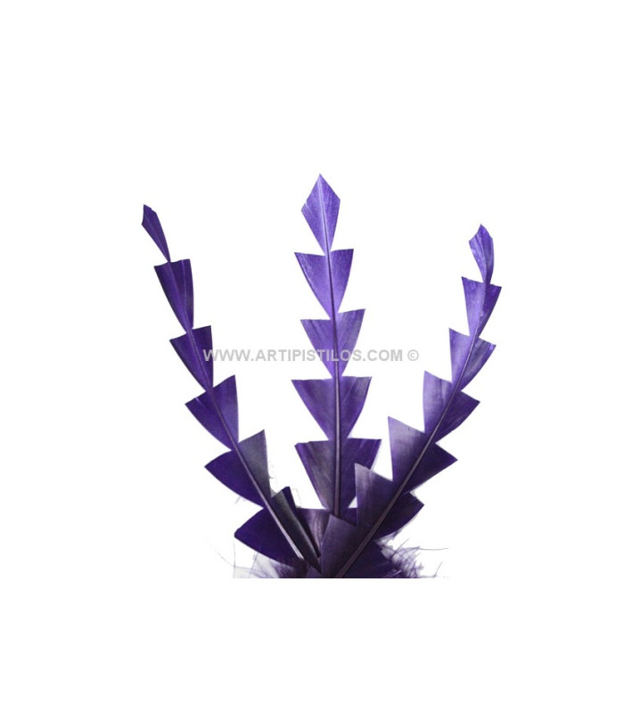 PLUME DE CANARD DIAMANT 15 CMS.