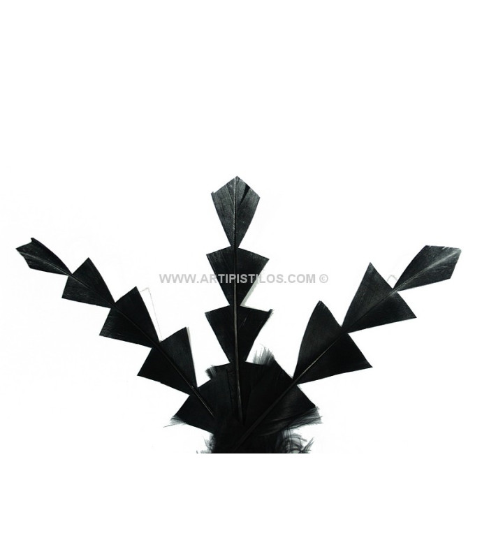 PLUME DE CANARD DIAMANT 15 CMS.