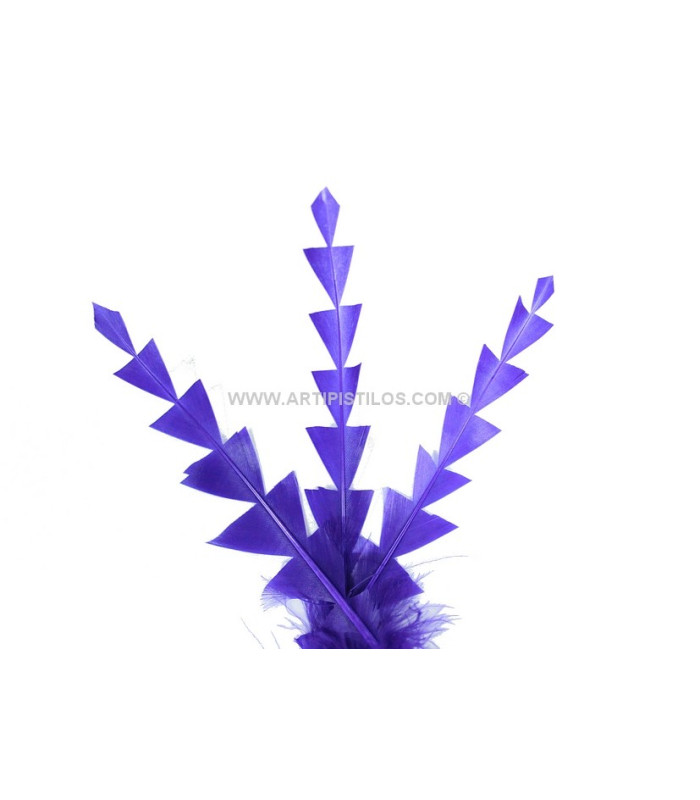 PLUME DE CANARD DIAMANT 15 CMS.