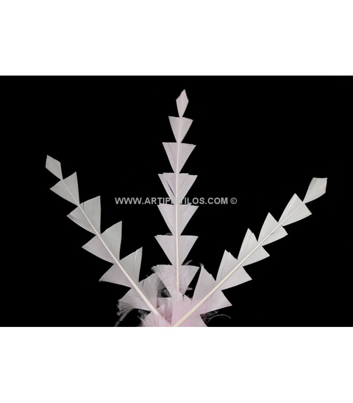 PLUME DE CANARD DIAMANT 15 CMS.