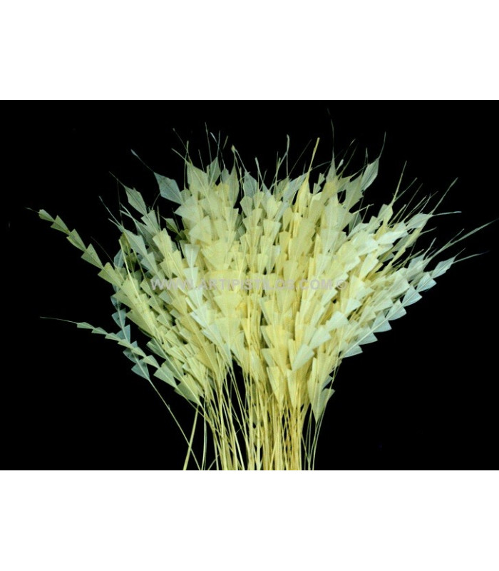 PLUME DIAMANT 20 CMS.