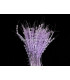 PLUME DIAMANT 20 CMS.