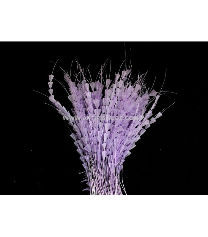 PLUME DIAMANT 20 CMS.