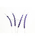 PLUME DIAMANT 20 CMS.