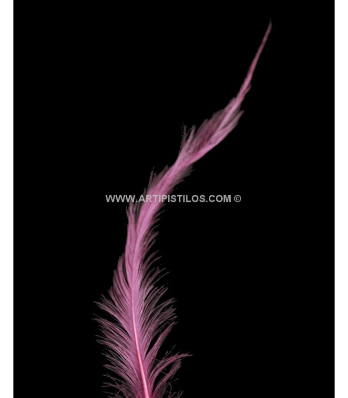 PLUME BRÛLÉE DE COQ 30 CMS.