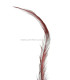 PLUME BRÛLÉE DE COQ 30 CMS.