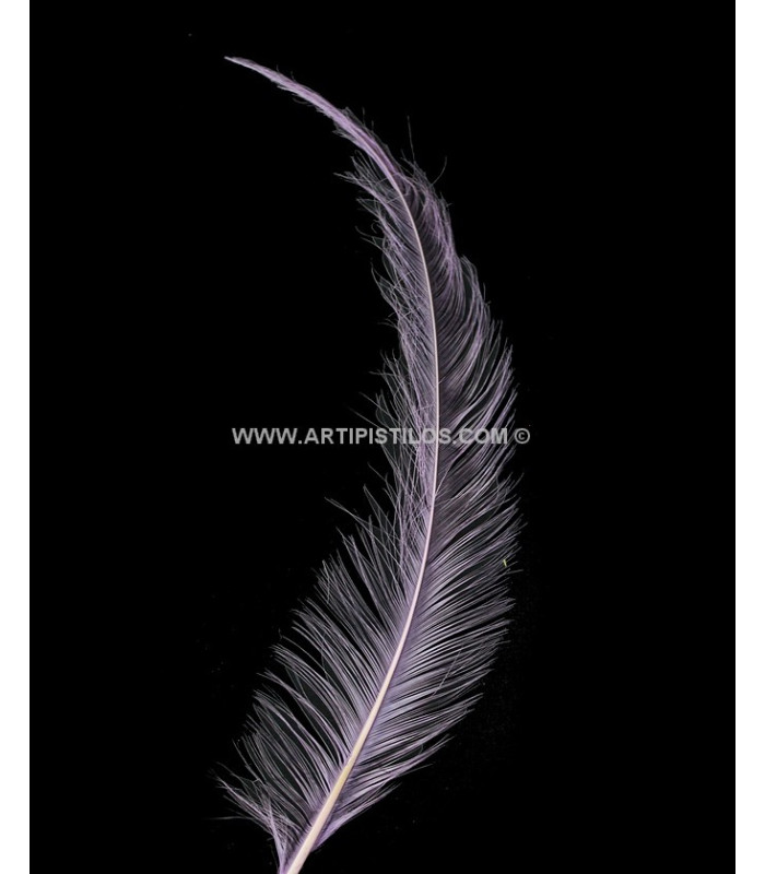 PLUME BRÛLÉE DE COQ 30 CMS.