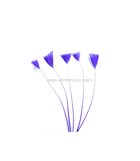 PLUMA DE COQ DÉCOUPAGE 15 CMS.