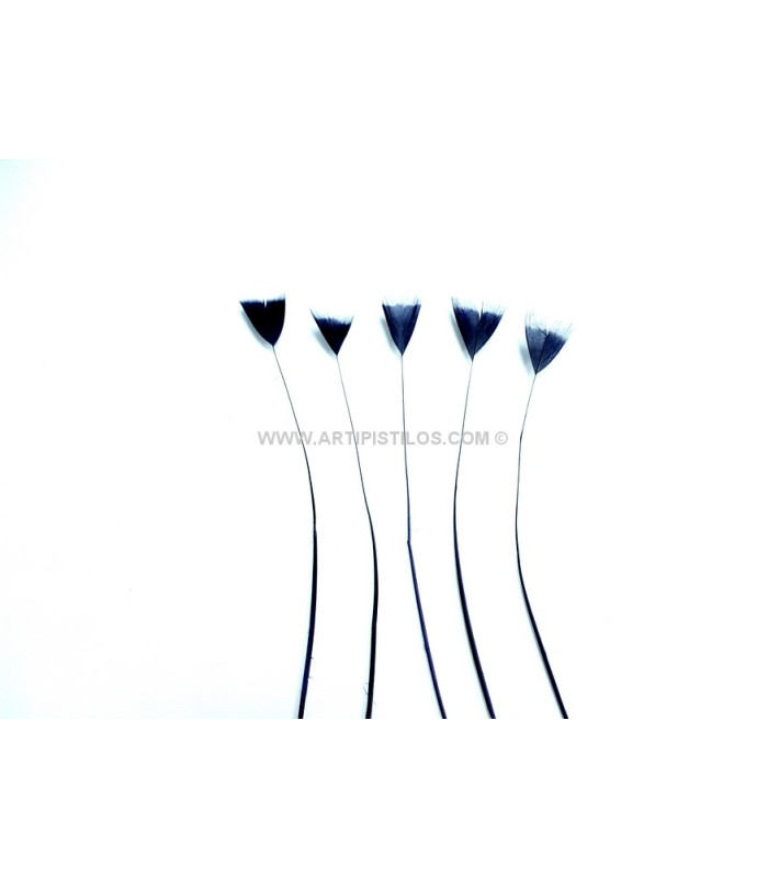 PLUMA DE COQ DÉCOUPAGE 15 CMS.
