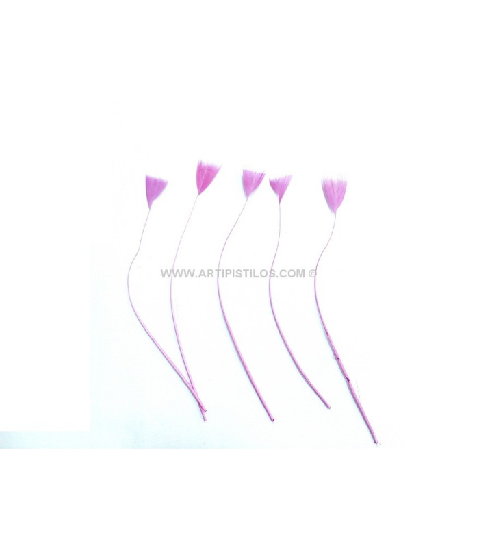 PLUMA DE COQ DÉCOUPAGE 15 CMS.