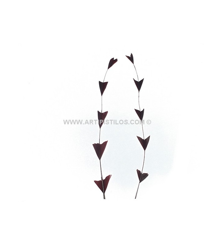 PLUME DÉCOUPÉE ARROW BICOLORE 28 CMS.