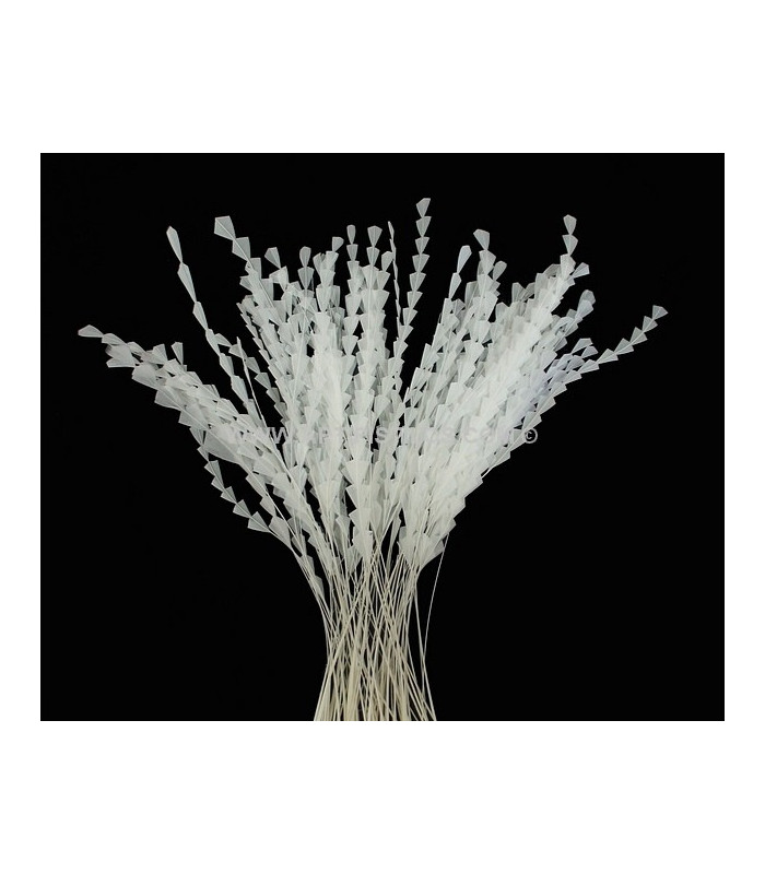PLUME DIAMOND 28-30 CMS.
