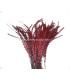 PLUME DIAMOND 28-30 CMS.