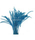 PLUME DIAMOND 28-30 CMS.
