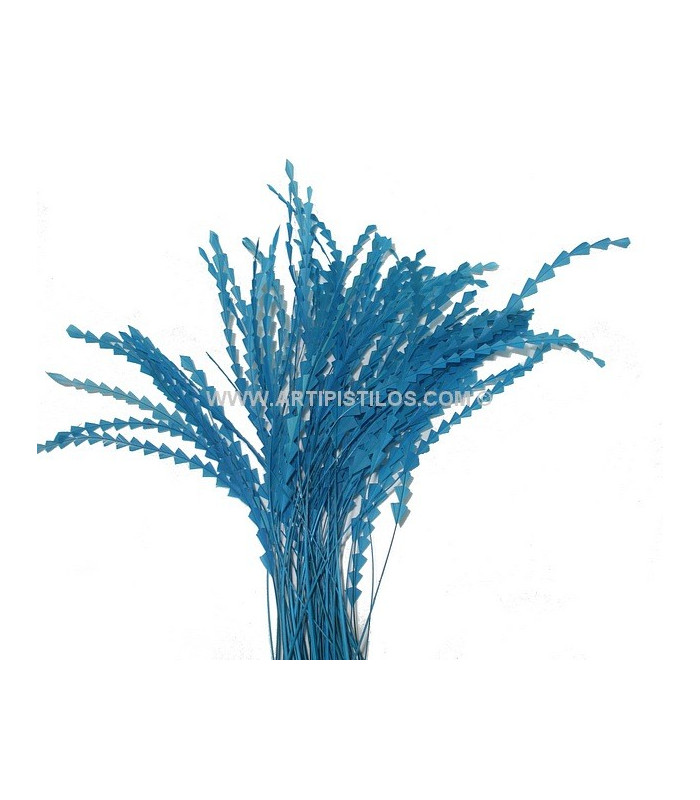 PLUME DIAMOND 28-30 CMS.