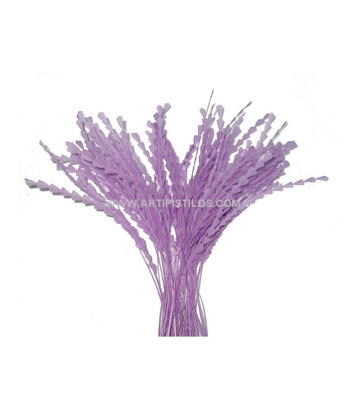 PLUME DIAMOND 28-30 CMS.