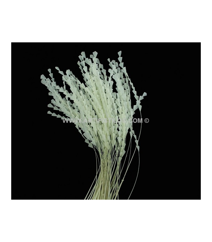 PLUME DIAMOND 28-30 CMS.