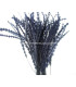 PLUME DIAMOND 28-30 CMS.